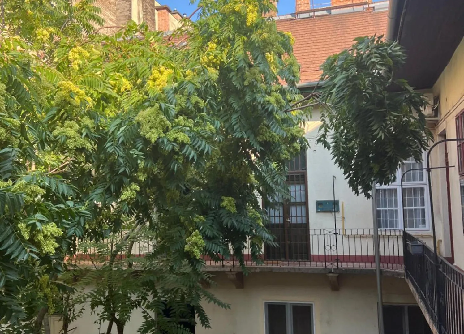 Fabolous Flat In The City Center Appartement Boedapest